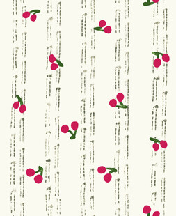 樱桃花卉文字图案背景