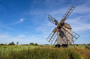 田野中的古老风车