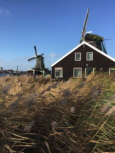 荷兰田园风车小屋风景