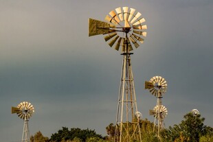 田野中的复古风车景观