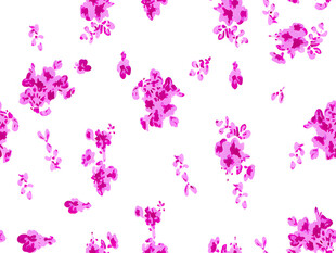 粉色花卉图案背景