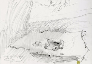 树下小憩的动物素描图