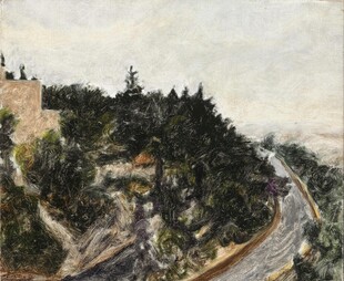 山间公路旁葱郁树木景观