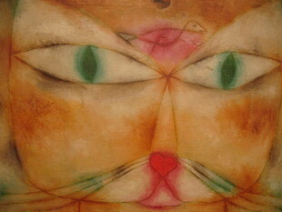 抽象猫脸艺术画作
