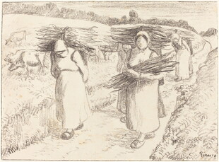 田间妇女扛物劳作场景