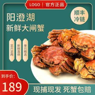 阳澄湖畔新鲜大闸蟹特惠