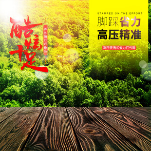 森林背景的励志墙面展示