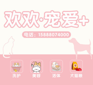 宠物