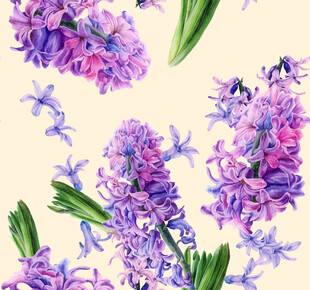 紫色风信子花卉图案