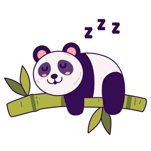酣睡的熊猫趴在翠绿竹枝上