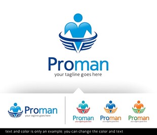 Proman企业标志设计展示