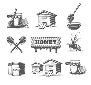 蜜蜂与养蜂工具黑白插画
