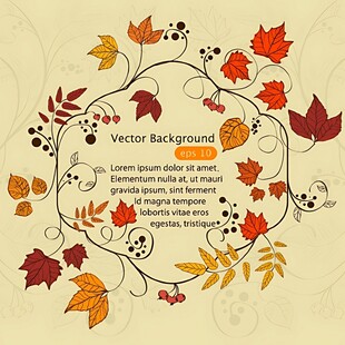 秋季花卉树叶装饰背景图