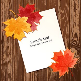 秋叶装点的空白信纸