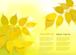 金黄秋叶背景图