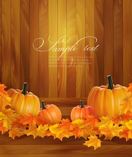 秋季南瓜与落叶装饰场景