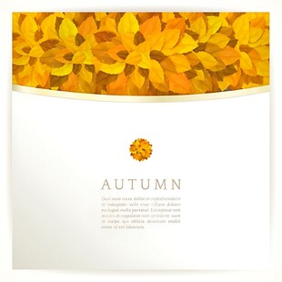 秋季花卉主题简约背景图