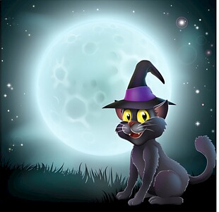月夜下的魔法黑猫