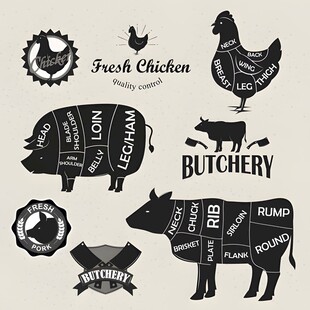 肉类屠宰与加工标识设计