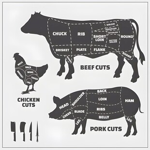 畜禽肉类切割示意图