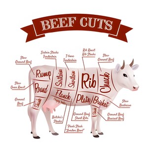 牛肉各部位图示