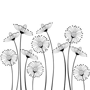 简约线条风雏菊花插画