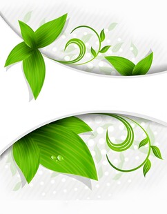 清新绿叶装饰背景图