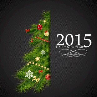 2015年圣诞装饰数字1