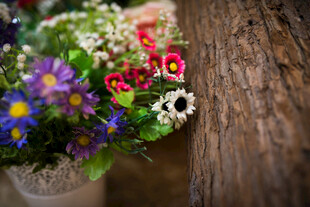 木桌上的多彩鲜花组合