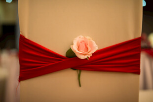 红绸上的粉色娇艳玫瑰