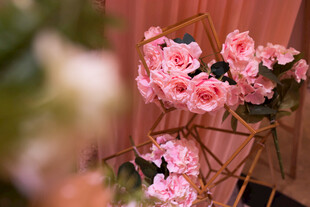 粉色玫瑰装饰花架