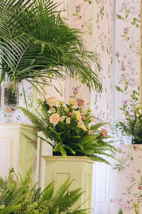 室内花卉绿植优雅布置