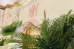 室内绿植与墙饰装饰画面