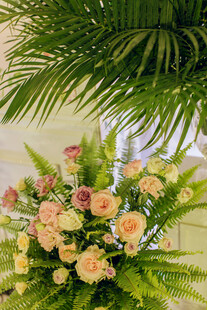 多彩鲜花与绿植组合