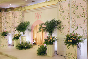 优雅室内绿植花卉装饰场景