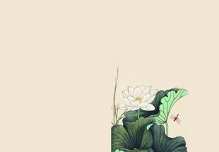 于非闇 荷塘蜻蜓翠鸟图 封面设