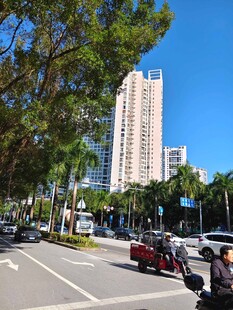 城市街道旁的高楼与车辆