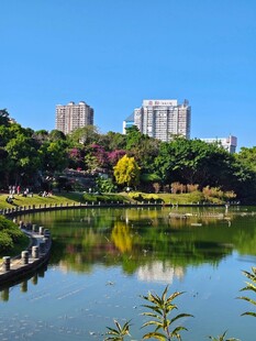 公园的湖面及倒影