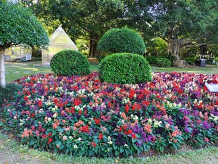 多彩花卉与造型绿植景观
