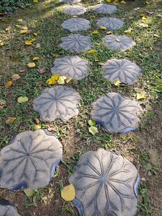 荷叶形石板小径