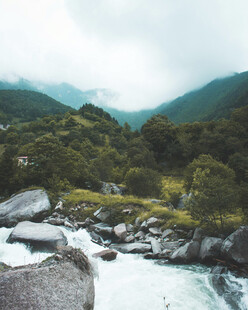 山间溪流旁的绿意景致