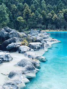 清澈蓝水旁的嶙峋岩石与森林