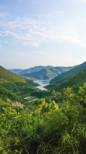 山间绿野风光