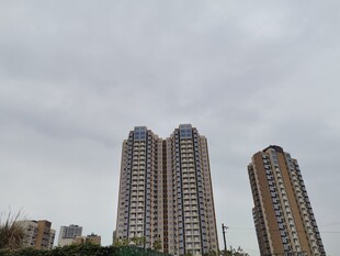 城市高楼景观