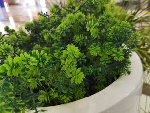 白色花盆中的仿真翠绿植物