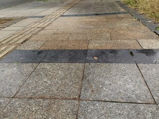 雨后湿漉漉的石板路