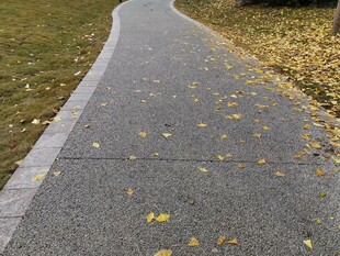 秋日小径铺洒金黄落叶