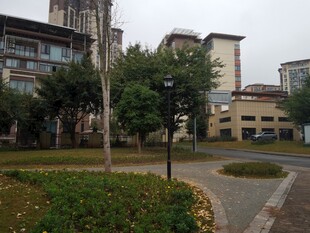 小区内的绿化景观道路