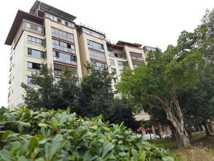 现代高层住宅与绿植景观