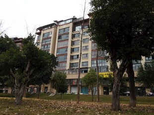 城市中绿树环绕的现代建筑